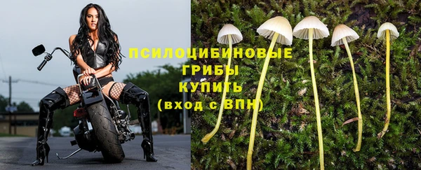 ALPHA PVP Михайловка