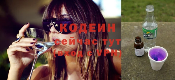 индика Киренск