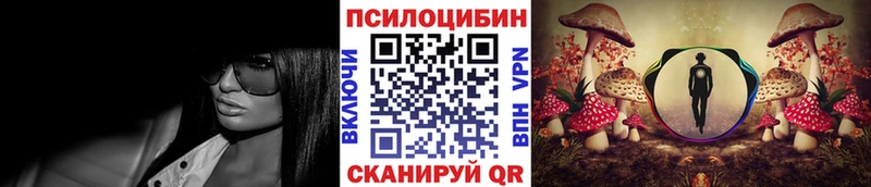 купить наркотик  Юрьевец  Галлюциногенные грибы прущие грибы 